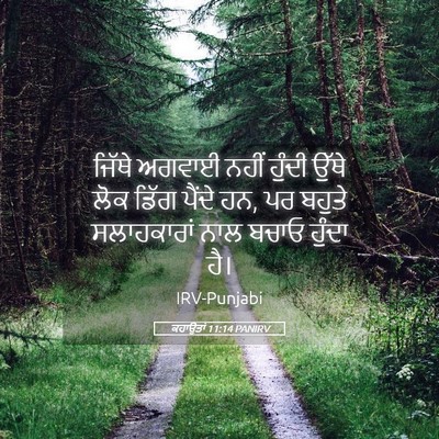 Picture 05 - ਕਹਾਉਤਾਂ 11:14 PANIRV - ਜਿੱਥੇ ਅਗਵਾਈ ਨਹੀਂ - Bible Verse Picture