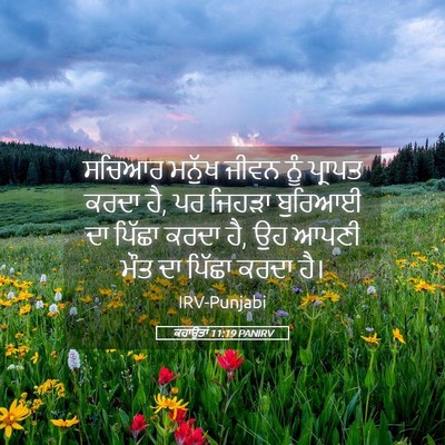 Picture 05 - ਕਹਾਉਤਾਂ 11:19 PANIRV - ਸਚਿਆਰ ਮਨੁੱਖ ਜੀਵਨ - Bible Verse Picture