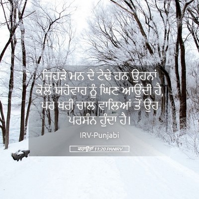 Picture 05 - ਕਹਾਉਤਾਂ 11:20 PANIRV - ਜਿਹੜੇ ਮਨ ਦੇ ਟੇਢੇ ਹਨ - Bible Verse Picture