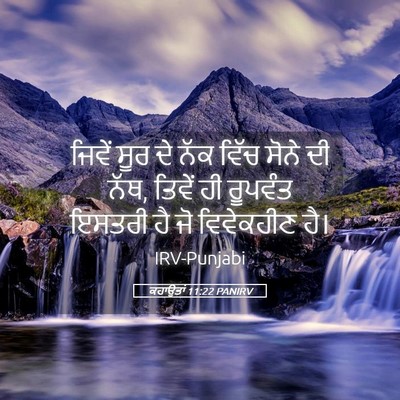Picture 05 - ਕਹਾਉਤਾਂ 11:22 PANIRV - ਜਿਵੇਂ ਸੂਰ ਦੇ ਨੱਕ - Bible Verse Picture