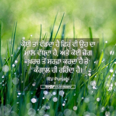 Picture 05 - ਕਹਾਉਤਾਂ 11:24 PANIRV - ਕੋਈ ਤਾਂ ਵੰਡਦਾ ਹੈ - Bible Verse Picture