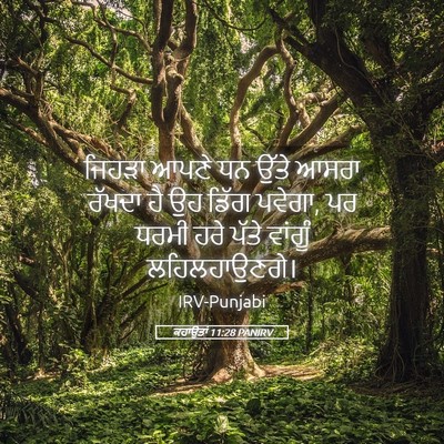 Picture 05 - ਕਹਾਉਤਾਂ 11:28 PANIRV - ਜਿਹੜਾ ਆਪਣੇ ਧਨ ਉੱਤੇ - Bible Verse Picture