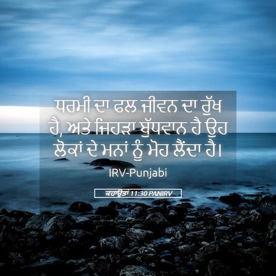 Picture 05 - ਕਹਾਉਤਾਂ 11:30 PANIRV - ਧਰਮੀ ਦਾ ਫਲ ਜੀਵਨ ਦਾ - Bible Verse Picture