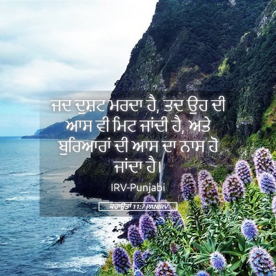 Picture 05 - ਕਹਾਉਤਾਂ 11:7 PANIRV - ਜਦ ਦੁਸ਼ਟ ਮਰਦਾ ਹੈ, - Bible Verse Picture
