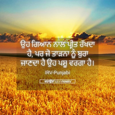 Picture 05 - ਕਹਾਉਤਾਂ 12:1 PANIRV - ਉਹ ਗਿਆਨ ਨਾਲ ਪ੍ਰੀਤ - Bible Verse Picture