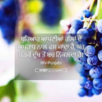 Picture 05 - ਕਹਾਉਤਾਂ 12:13 PANIRV - ਬੁਰਿਆਰ ਆਪਣੀਆਂ - Bible Verse Picture