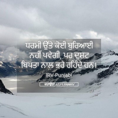 Picture 05 - ਕਹਾਉਤਾਂ 12:21 PANIRV - ਧਰਮੀ ਉੱਤੇ ਕੋਈ - Bible Verse Picture