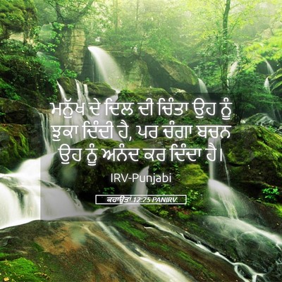 Picture 05 - ਕਹਾਉਤਾਂ 12:25 PANIRV - ਮਨੁੱਖ ਦੇ ਦਿਲ ਦੀ - Bible Verse Picture