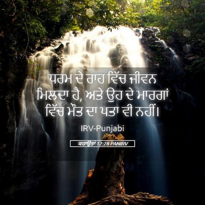 Picture 05 - ਕਹਾਉਤਾਂ 12:28 PANIRV - ਧਰਮ ਦੇ ਰਾਹ ਵਿੱਚ - Bible Verse Picture