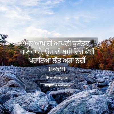 Picture 05 - ਕਹਾਉਤਾਂ 14:10 PANIRV - ਮਨ ਆਪ ਹੀ ਆਪਣੀ - Bible Verse Picture