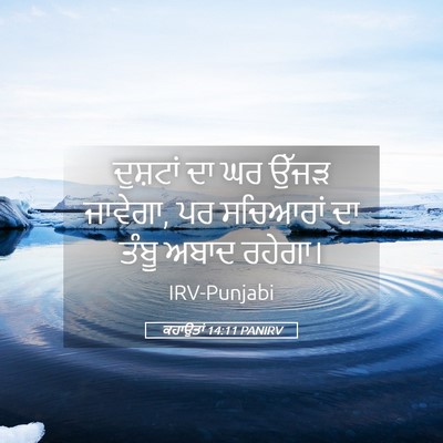 Picture 05 - ਕਹਾਉਤਾਂ 14:11 PANIRV - ਦੁਸ਼ਟਾਂ ਦਾ ਘਰ ਉੱਜੜ - Bible Verse Picture