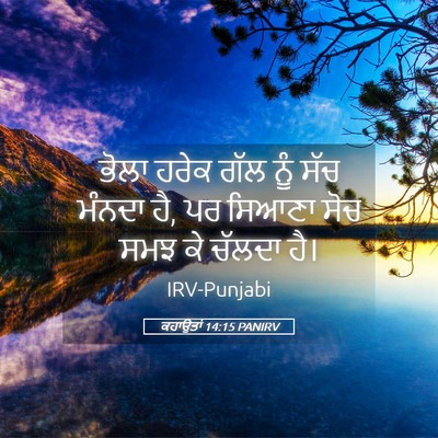 Picture 05 - ਕਹਾਉਤਾਂ 14:15 PANIRV - ਭੋਲਾ ਹਰੇਕ ਗੱਲ ਨੂੰ - Bible Verse Picture