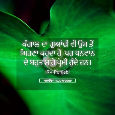 Picture 05 - ਕਹਾਉਤਾਂ 14:20 PANIRV - ਕੰਗਾਲ ਦਾ ਗੁਆਂਢੀ ਵੀ - Bible Verse Picture
