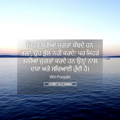 Picture 05 - ਕਹਾਉਤਾਂ 14:22 PANIRV - ਜਿਹੜੇ ਬੁਰੀਆਂ - Bible Verse Picture