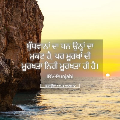 Picture 05 - ਕਹਾਉਤਾਂ 14:24 PANIRV - ਬੁੱਧਵਾਨਾਂ ਦਾ ਧਨ - Bible Verse Picture