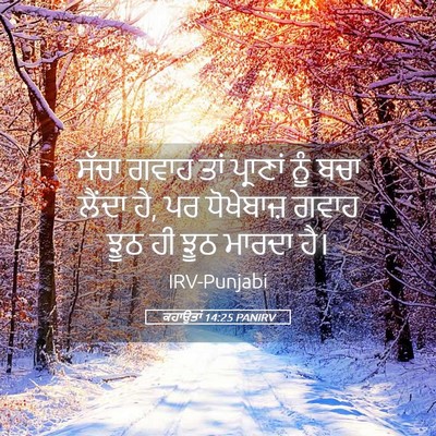 Picture 05 - ਕਹਾਉਤਾਂ 14:25 PANIRV - ਸੱਚਾ ਗਵਾਹ ਤਾਂ - Bible Verse Picture