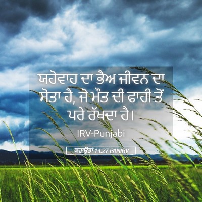 Picture 05 - ਕਹਾਉਤਾਂ 14:27 PANIRV - ਯਹੋਵਾਹ ਦਾ ਭੈਅ ਜੀਵਨ - Bible Verse Picture