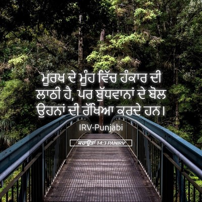 Picture 05 - ਕਹਾਉਤਾਂ 14:3 PANIRV - ਮੂਰਖ ਦੇ ਮੂੰਹ ਵਿੱਚ - Bible Verse Picture
