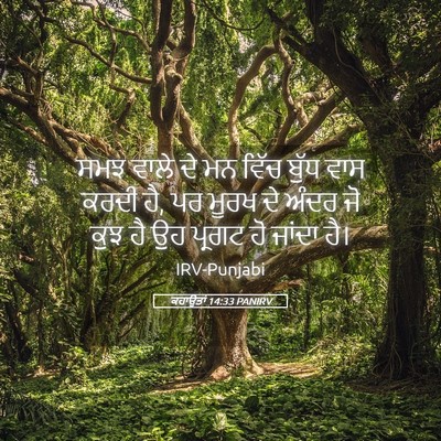 Picture 05 - ਕਹਾਉਤਾਂ 14:33 PANIRV - ਸਮਝ ਵਾਲੇ ਦੇ ਮਨ ਵਿੱਚ - Bible Verse Picture