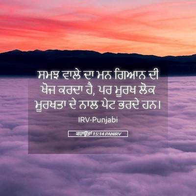 Picture 05 - ਕਹਾਉਤਾਂ 15:14 PANIRV - ਸਮਝ ਵਾਲੇ ਦਾ ਮਨ ਗਿਆਨ - Bible Verse Picture