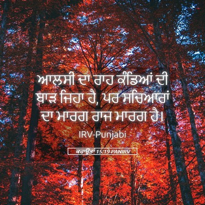 Picture 05 - ਕਹਾਉਤਾਂ 15:19 PANIRV - ਆਲਸੀ ਦਾ ਰਾਹ ਕੰਡਿਆਂ - Bible Verse Picture