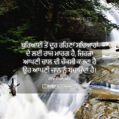 Picture 05 - ਕਹਾਉਤਾਂ 16:17 PANIRV - ਬੁਰਿਆਈ ਤੋਂ ਦੂਰ - Bible Verse Picture