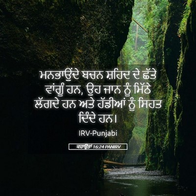 Picture 05 - ਕਹਾਉਤਾਂ 16:24 PANIRV - ਮਨਭਾਉਂਦੇ ਬਚਨ - Bible Verse Picture