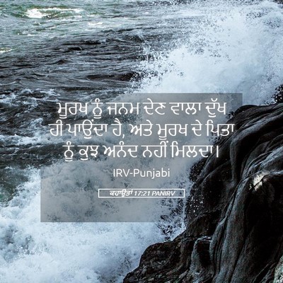 Picture 05 - ਕਹਾਉਤਾਂ 17:21 PANIRV - ਮੂਰਖ ਨੂੰ ਜਨਮ ਦੇਣ - Bible Verse Picture