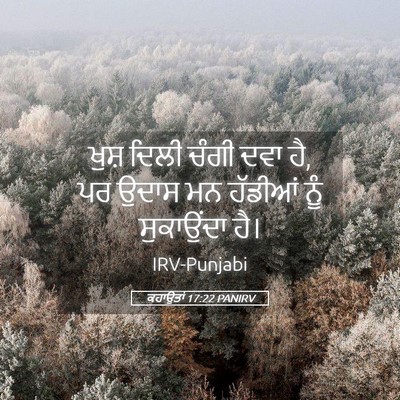 Picture 05 - ਕਹਾਉਤਾਂ 17:22 PANIRV - ਖੁਸ਼ ਦਿਲੀ ਚੰਗੀ ਦਵਾ - Bible Verse Picture