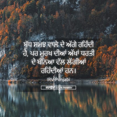 Picture 05 - ਕਹਾਉਤਾਂ 17:24 PANIRV - ਬੁੱਧ ਸਮਝ ਵਾਲੇ ਦੇ - Bible Verse Picture