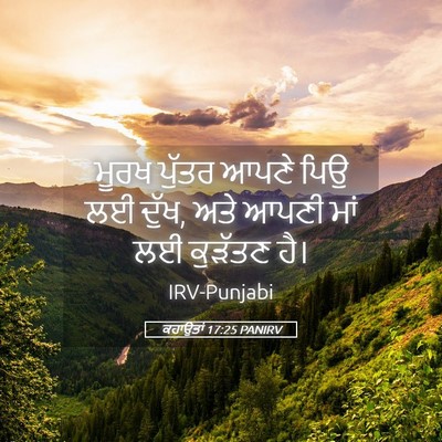 Picture 05 - ਕਹਾਉਤਾਂ 17:25 PANIRV - ਮੂਰਖ ਪੁੱਤਰ ਆਪਣੇ - Bible Verse Picture