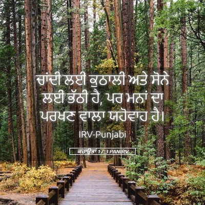 Picture 05 - ਕਹਾਉਤਾਂ 17:3 PANIRV - ਚਾਂਦੀ ਲਈ ਕੁਠਾਲੀ - Bible Verse Picture