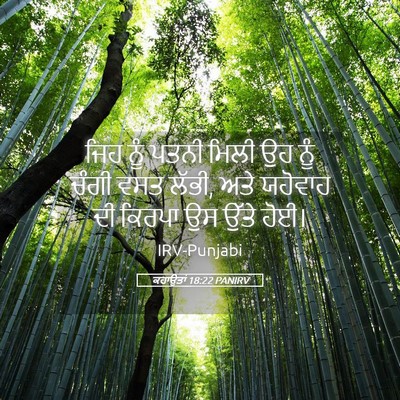 Picture 05 - ਕਹਾਉਤਾਂ 18:22 PANIRV - ਜਿਹ ਨੂੰ ਪਤਨੀ ਮਿਲੀ - Bible Verse Picture