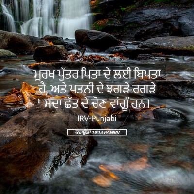 Picture 05 - ਕਹਾਉਤਾਂ 19:13 PANIRV - ਮੂਰਖ ਪੁੱਤਰ ਪਿਤਾ ਦੇ - Bible Verse Picture