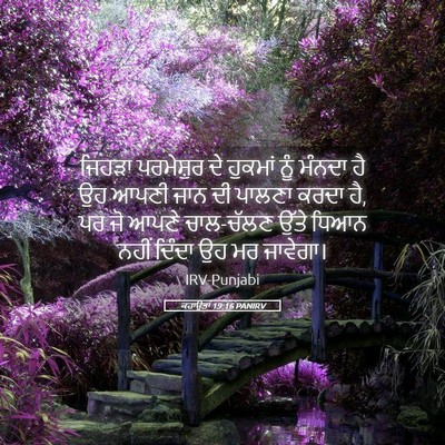 Picture 05 - ਕਹਾਉਤਾਂ 19:16 PANIRV - ਜਿਹੜਾ ਪਰਮੇਸ਼ੁਰ ਦੇ - Bible Verse Picture