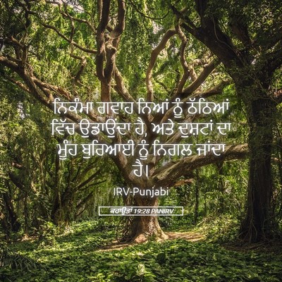 Picture 05 - ਕਹਾਉਤਾਂ 19:28 PANIRV - ਨਿਕੰਮਾ ਗਵਾਹ ਨਿਆਂ - Bible Verse Picture