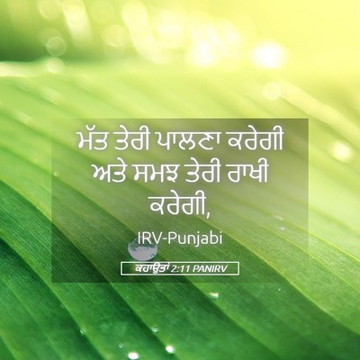 Picture 05 - ਕਹਾਉਤਾਂ 2:11 PANIRV - ਮੱਤ ਤੇਰੀ ਪਾਲਣਾ - Bible Verse Picture