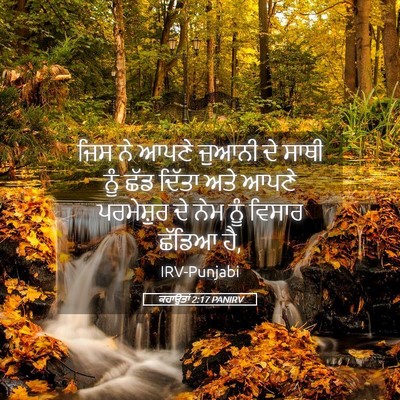 Picture 05 - ਕਹਾਉਤਾਂ 2:17 PANIRV - ਜਿਸ ਨੇ ਆਪਣੇ ਜੁਆਨੀ - Bible Verse Picture