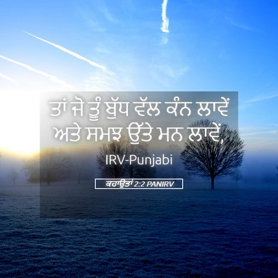Picture 05 - ਕਹਾਉਤਾਂ 2:2 PANIRV - ਤਾਂ ਜੋ ਤੂੰ ਬੁੱਧ ਵੱਲ - Bible Verse Picture