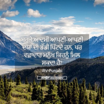 Picture 05 - ਕਹਾਉਤਾਂ 20:6 PANIRV - ਬਹੁਤੇ ਆਦਮੀ - Bible Verse Picture