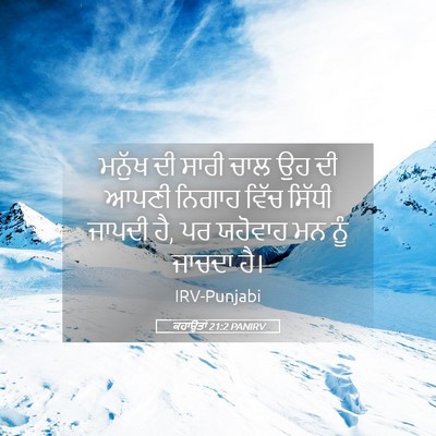 Picture 05 - ਕਹਾਉਤਾਂ 21:2 PANIRV - ਮਨੁੱਖ ਦੀ ਸਾਰੀ ਚਾਲ - Bible Verse Picture
