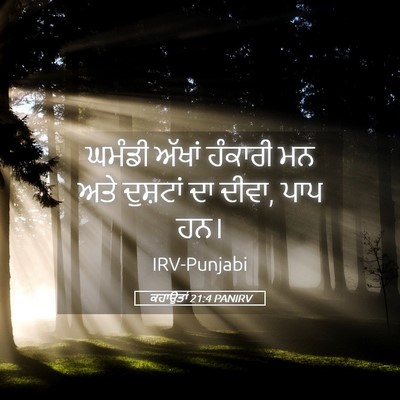 Picture 05 - ਕਹਾਉਤਾਂ 21:4 PANIRV - ਘਮੰਡੀ ਅੱਖਾਂ - Bible Verse Picture