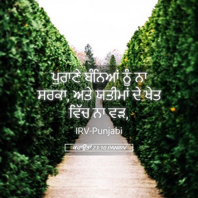 Picture 05 - ਕਹਾਉਤਾਂ 23:10 PANIRV - ਪੁਰਾਣੇ ਬੰਨਿਆਂ ਨੂੰ - Bible Verse Picture