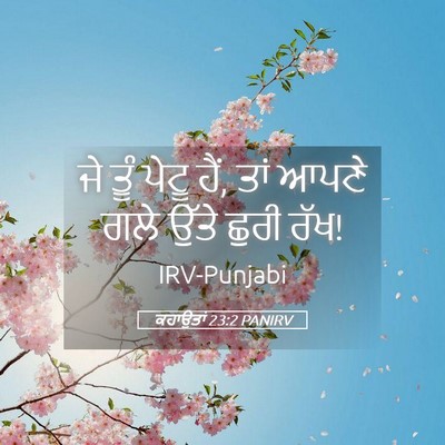 Picture 05 - ਕਹਾਉਤਾਂ 23:2 PANIRV - ਜੇ ਤੂੰ ਪੇਟੂ ਹੈਂ, - Bible Verse Picture