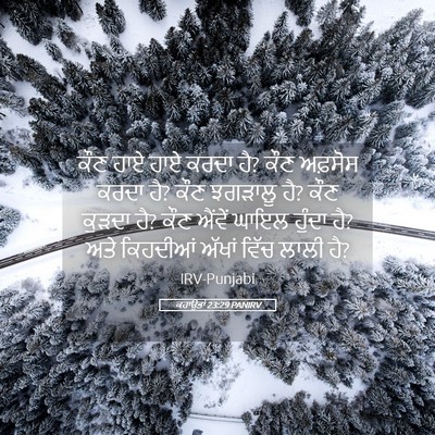 Picture 05 - ਕਹਾਉਤਾਂ 23:29 PANIRV - ਕੌਣ ਹਾਏ ਹਾਏ ਕਰਦਾ - Bible Verse Picture