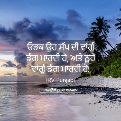 Picture 05 - ਕਹਾਉਤਾਂ 23:32 PANIRV - ਓੜਕ ਉਹ ਸੱਪ ਦੀ - Bible Verse Picture