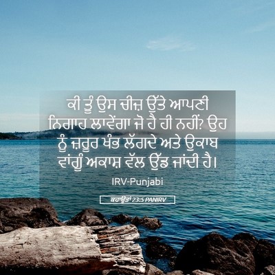 Picture 05 - ਕਹਾਉਤਾਂ 23:5 PANIRV - ਕੀ ਤੂੰ ਉਸ ਚੀਜ਼ ਉੱਤੇ - Bible Verse Picture