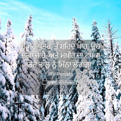 Picture 05 - ਕਹਾਉਤਾਂ 24:13 PANIRV - ਹੇ ਮੇਰੇ ਪੁੱਤਰ, ਤੂੰ - Bible Verse Picture
