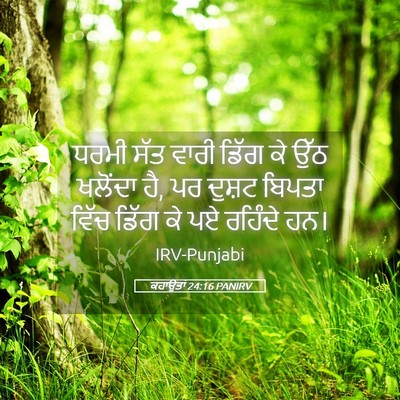 Picture 05 - ਕਹਾਉਤਾਂ 24:16 PANIRV - ਧਰਮੀ ਸੱਤ ਵਾਰੀ ਡਿੱਗ - Bible Verse Picture