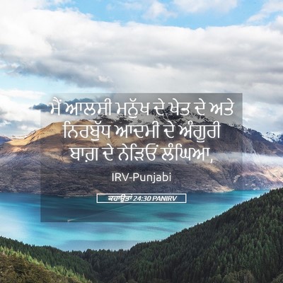 Picture 05 - ਕਹਾਉਤਾਂ 24:30 PANIRV - ਮੈਂ ਆਲਸੀ ਮਨੁੱਖ ਦੇ - Bible Verse Picture